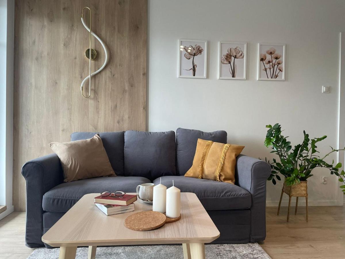 Apartament Kameralis Old Town - Klimatyzacja - Balkon - Winda Έλμπλαγκ Εξωτερικό φωτογραφία