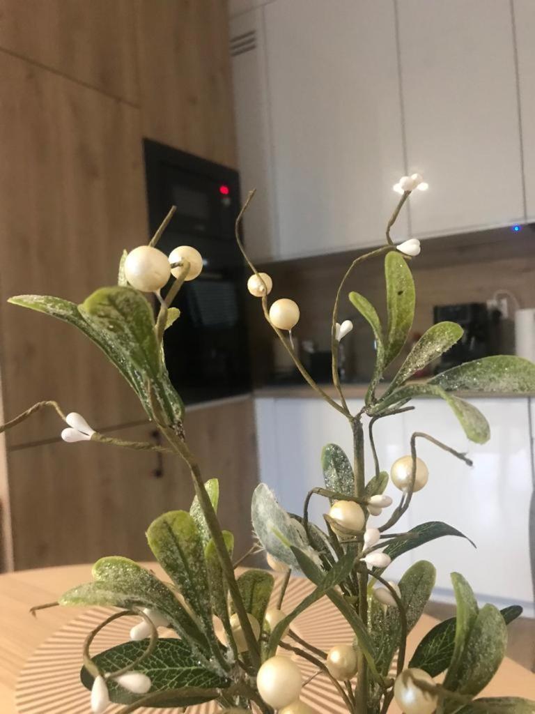 Apartament Kameralis Old Town - Klimatyzacja - Balkon - Winda Έλμπλαγκ Εξωτερικό φωτογραφία